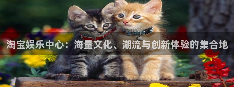 摩根娱乐