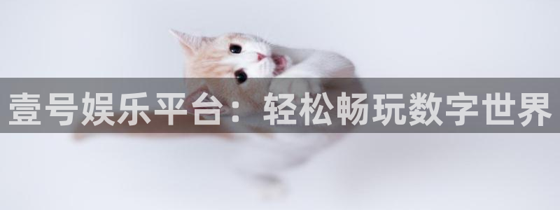 摩根娱乐
