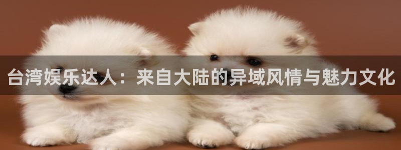 摩根娱乐