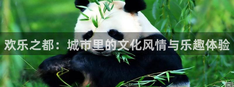 摩根娱乐