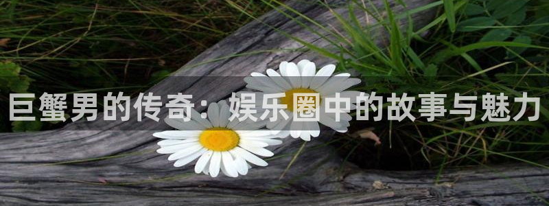 摩根娱乐