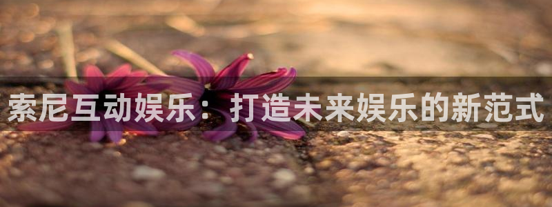摩根娱乐
