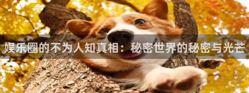 摩根娱乐