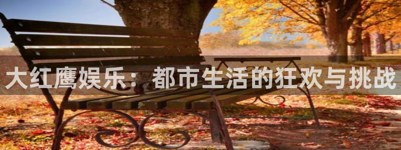 摩根娱乐