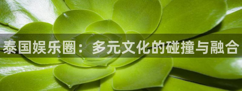 摩根娱乐